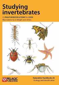 Studying Invertebrates