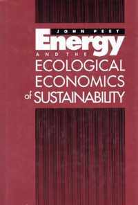 Energy and the Ecological Economics of Sustainability