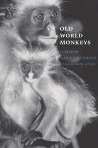 Old World Monkeys