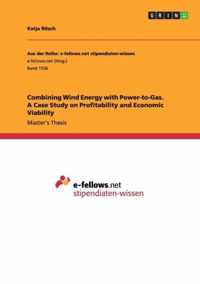 Combining Wind Energy with Power-to-Gas. A Case Study on Profitability and Economic Viability