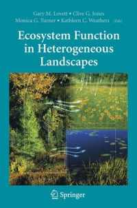 Ecosystem Function in Heterogeneous Landscapes