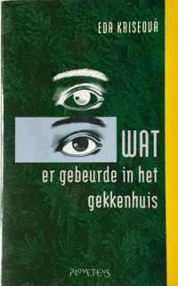 Wat er gebeurde in het gekkenhuis