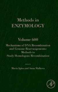 Mechanisms of DNA Recombination and Genome Rearrangements: Methods to Study Homologous Recombination