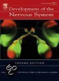 Development Of The Nervous System