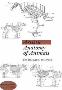 Artistic Anatomy of Animals