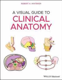 A Visual Guide to Clinical Anatomy