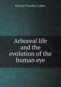 Arboreal life and the evolution of the human eye