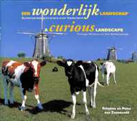 Een wonderlijk landschap = A curious landscape