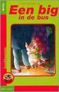 Een big in de bus