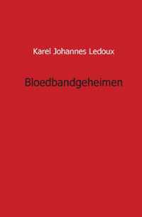 Bloedbandgeheimen - Karel Johannes Ledoux - Paperback (9789461933133)