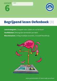 Deel 3  - Begrijpend Lezen 3 Verschillende type teksten en bijbehorende doelen Oefenboek