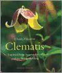 Clematis