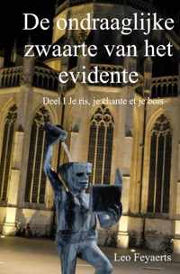 De ondraaglijke zwaarte van het evidente - Leo Feyaerts - Paperback (9789402132762)