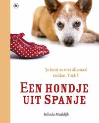 Een hondje uit Spanje