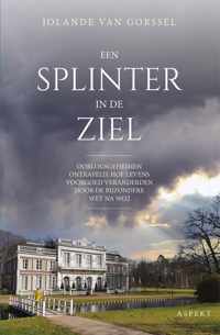 Een splinter in de ziel - Jolande van Gorssel - Paperback (9789464247053)