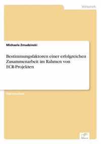 Bestimmungsfaktoren einer erfolgreichen Zusammenarbeit im Rahmen von ECR-Projekten