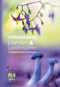 Fotografiegidsen - Macro 2 -   Fotografiegids planten en paddenstoelen