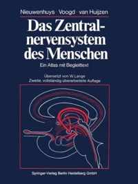 Das Zentralnervensystem Des Menschen