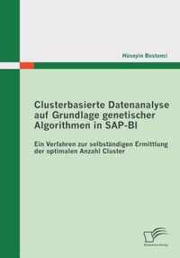 Clusterbasierte Datenanalyse auf Grundlage genetischer Algorithmen in SAP-BI