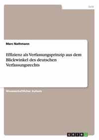 Effizienz als Verfassungsprinzip aus dem Blickwinkel des deutschen Verfassungsrechts
