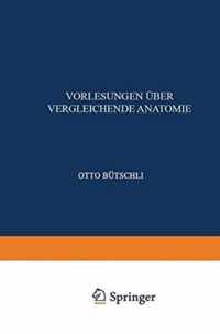 Einleitung; Vergleichende Anatomie Der Protozoen; Integument Und Skelet Der Metazoen; Allgemeine Krper- Und Bewegungsmuskulatur; Elektrische Organe U