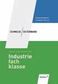 Industriefachklasse. SchÃ¼lerbuch. 3. Ausbildungsjahr. Lernfelder 10 bis 12