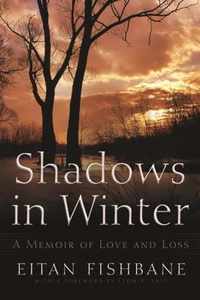 Shadows in Winter