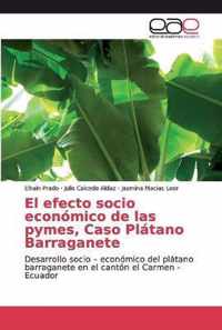 El efecto socio economico de las pymes, Caso Platano Barraganete