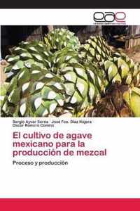 El cultivo de agave mexicano para la produccion de mezcal