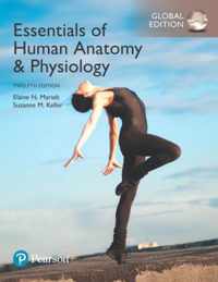 Essentials of Human Anatomy & Physiology, Global Edition