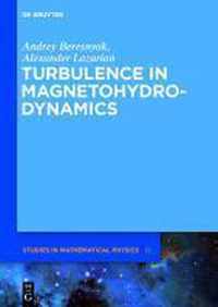 Turbulence in Magnetohydrodynamics