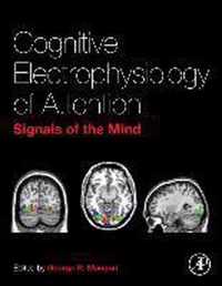 Cognitive Electrophysiology of Attention