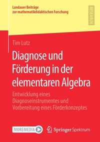 Diagnose und Foerderung in der elementaren Algebra