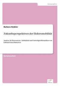 Zukunftsperspektiven der Elektromobilitat