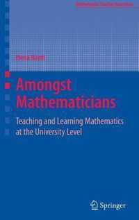 Amongst Mathematicians