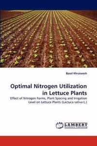 Optimal Nitrogen Utilization in Lettuce Plants