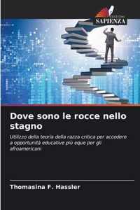 Dove sono le rocce nello stagno