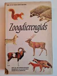 Zoogdierengids