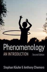 Phenomenology - An Introduction