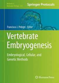 Vertebrate Embryogenesis