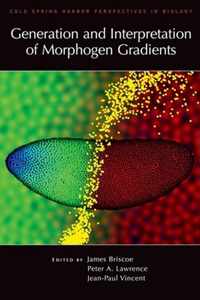 Generation and Interpretation of Morphogen Gradients