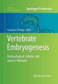 Vertebrate Embryogenesis