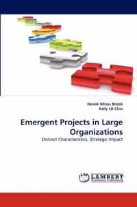 Emergent Projects in Large Organizations