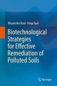 Biotechnological Strategies for Effective Remediation of Polluted Soils