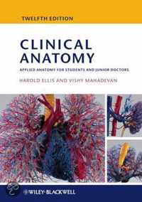 Clinical Anatomy