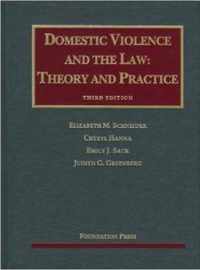 Domestic Violence and the Law