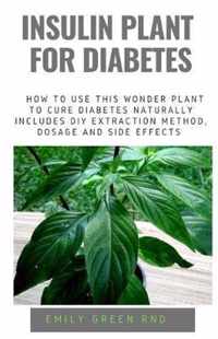 Insulin Plant for Diabetes