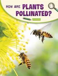 How Are Plants Pollinated?