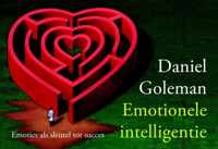 Emotionele Intelligentie Dwarsligger