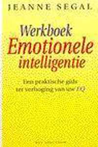 WERKBOEK EMOTIONELE INTELLIGENTIE